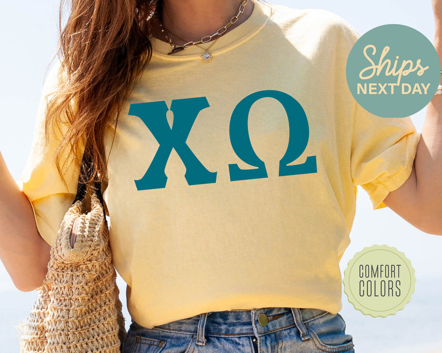 Chi Omega Back to the Basics Comfort Colors Sorority T-shirt _ 631g