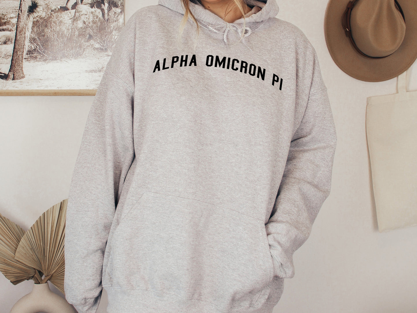 Alpha Omicron Pi Just Bold Sorority Hoodie _ 2373g