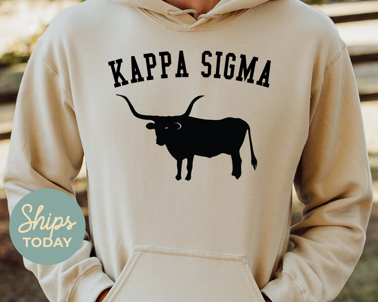 Kappa Sigma Long Horn Fraternity Hoodie _ 1536g