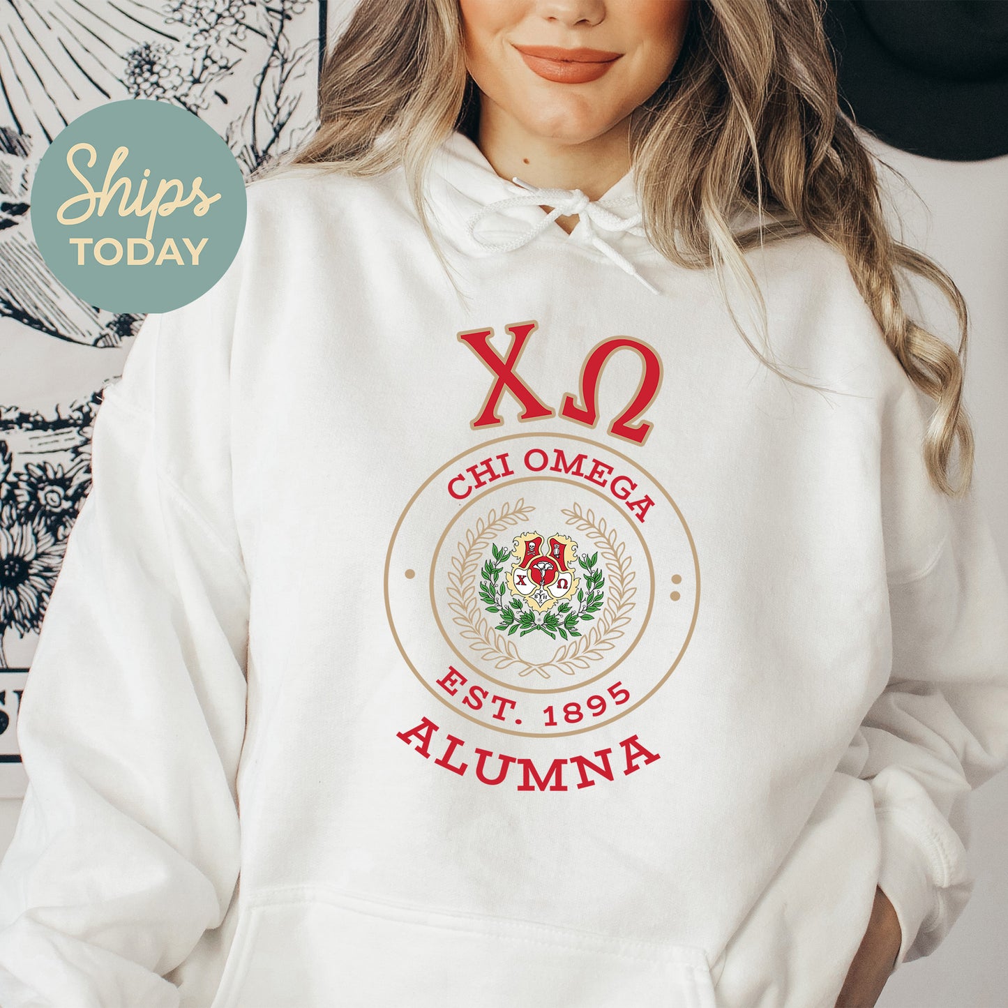 Chi Omega Alumna Vintage Sorority Hoodie _ 31018g