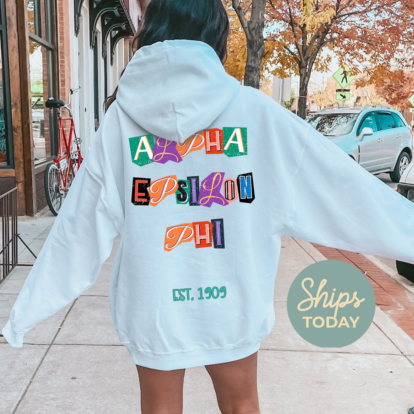 Alpha Epsilon Phi Letter Cuts Sorority Hoodie _ 35889g