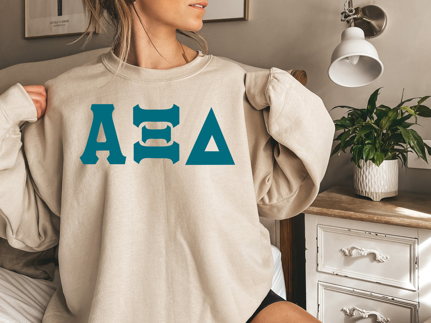 Alpha Xi Delta Back to the Basics Sorority Sweatshirt _ 630g