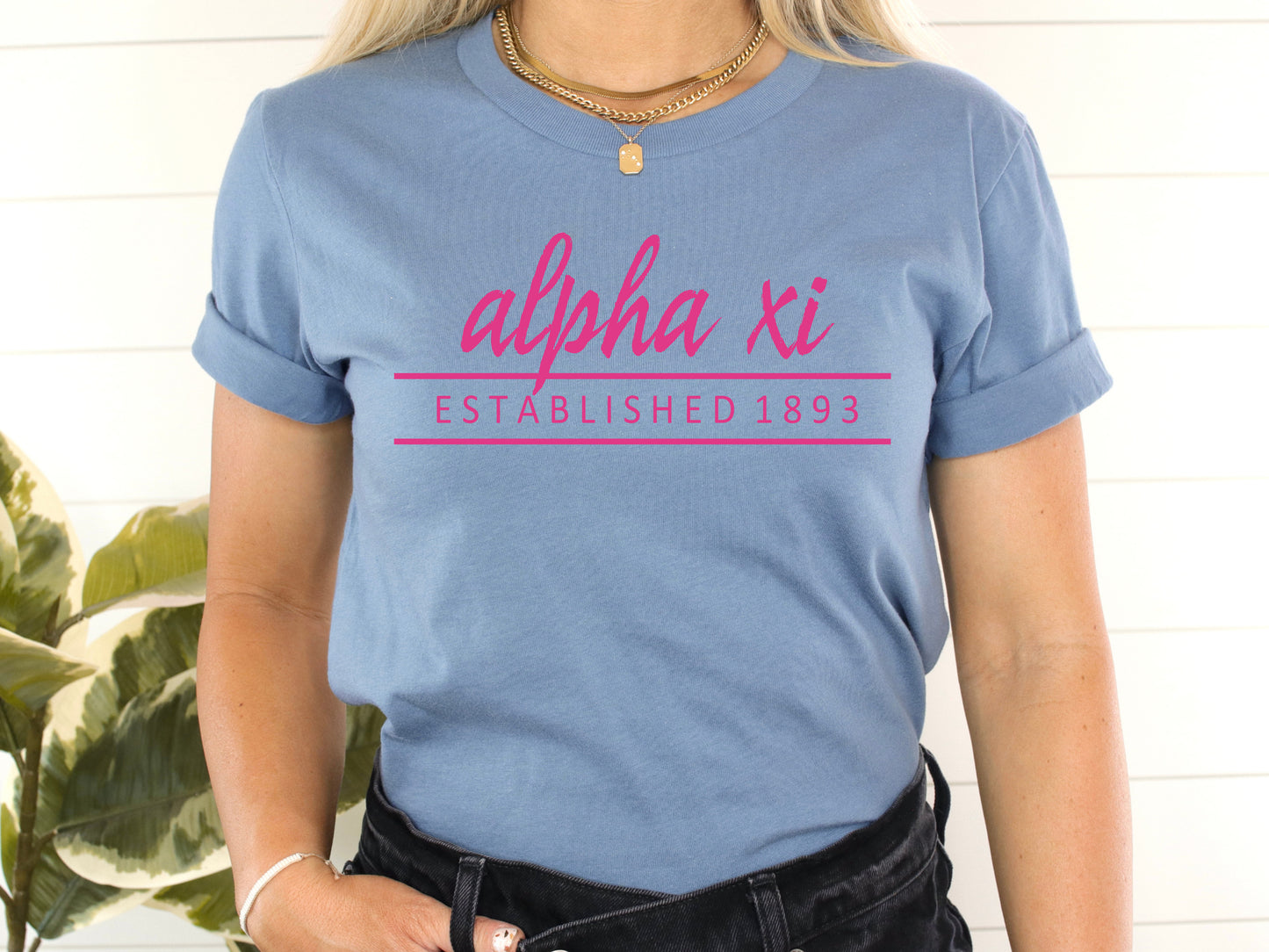 Alpha Xi Delta All Pink Sorority T-shirt _  760g