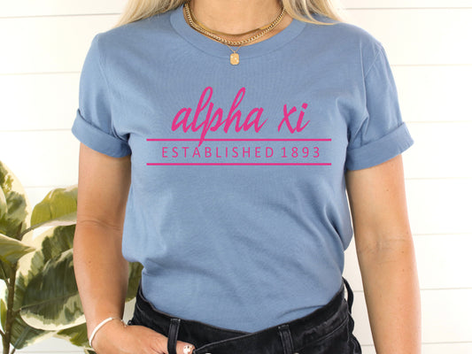 Alpha Xi Delta All Pink Sorority T-shirt _  760g