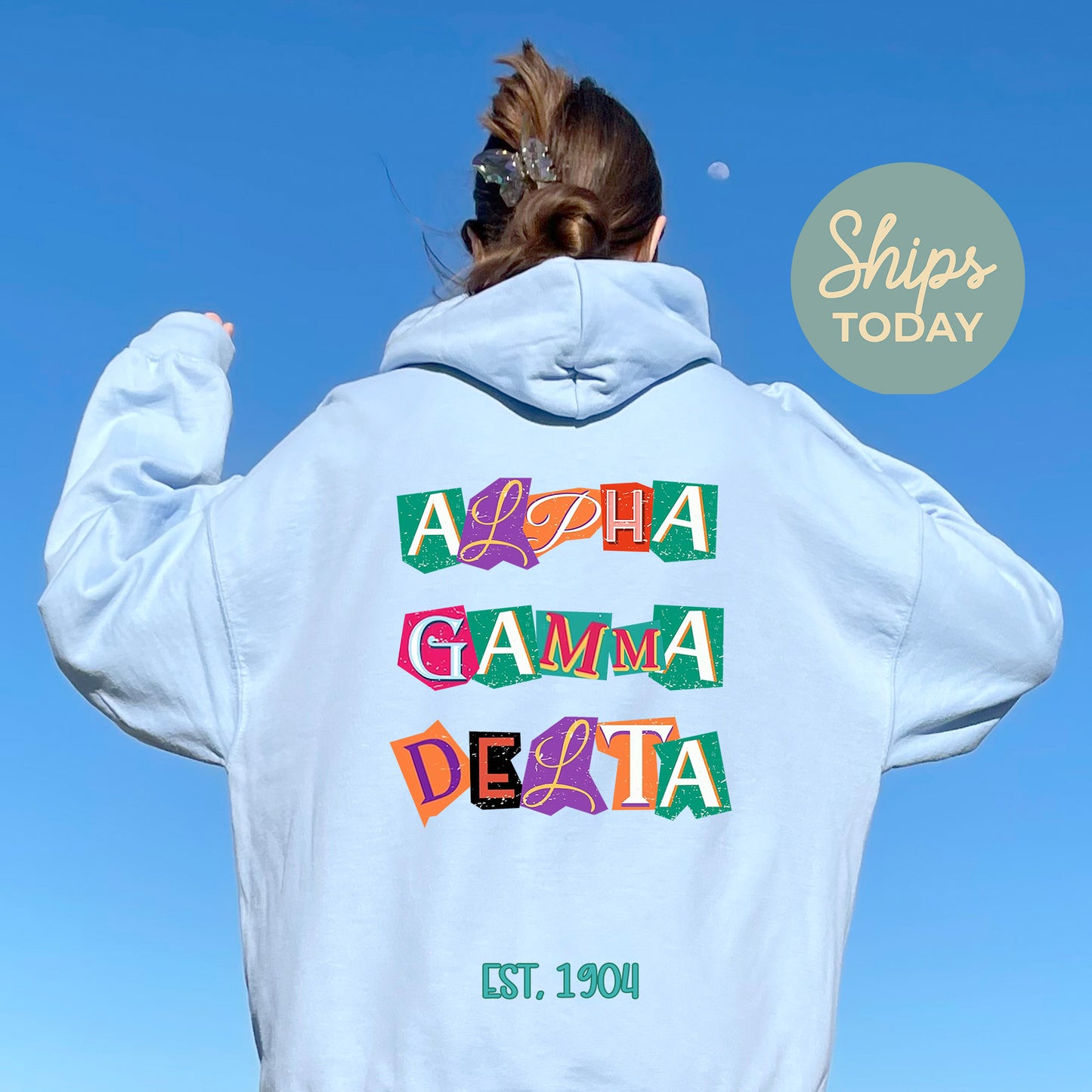 Alpha Gamma Delta Letter Cuts Sorority Hoodie _ 35890g