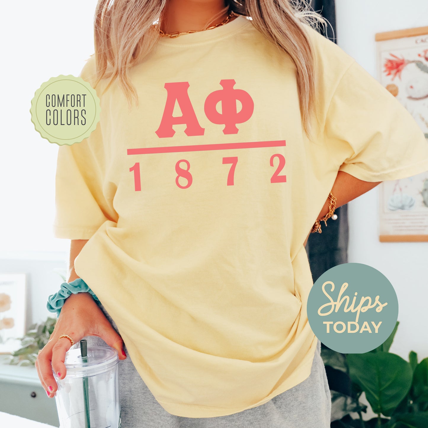 Alpha Phi Monochromatic Comfort Colors Sorority T-shirt _ 30848g