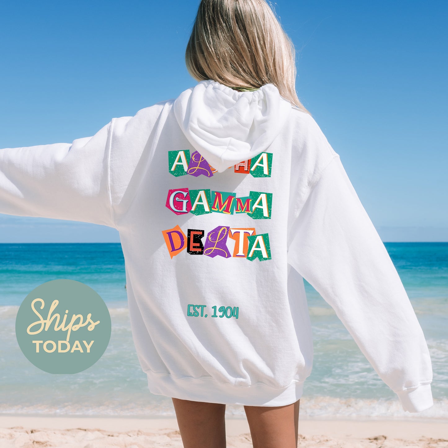 Alpha Gamma Delta Letter Cuts Sorority Hoodie _ 35890g