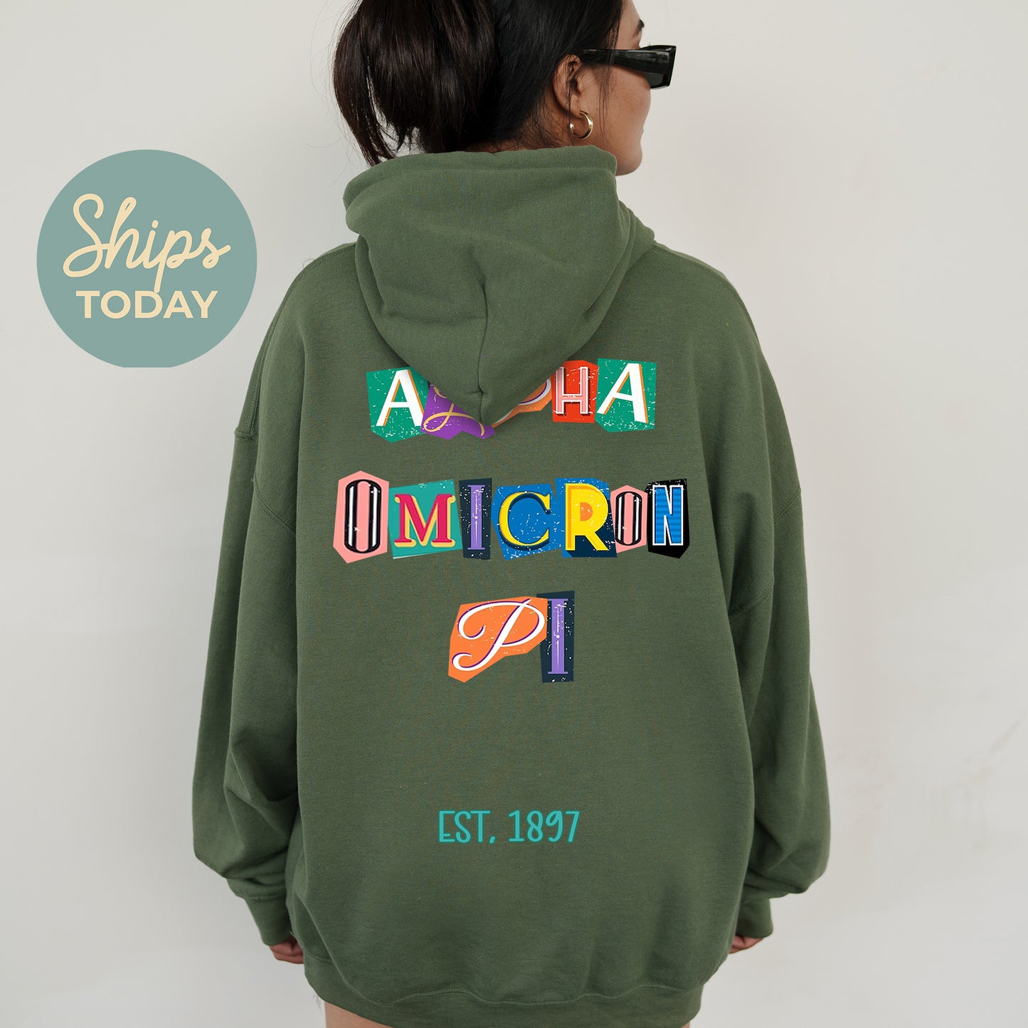 Alpha Omicron Pi Letter Cuts Sorority Hoodie _ 35891g