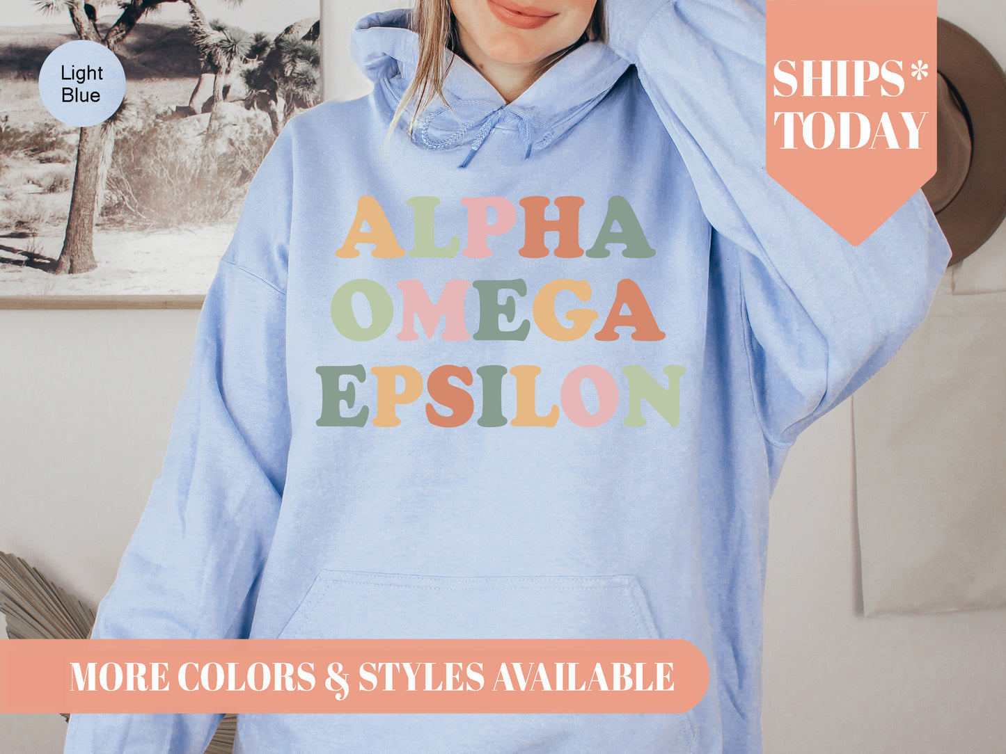 Alpha Omega Epsilon Bright and Colorful Sorority Hoodie _ 3468g