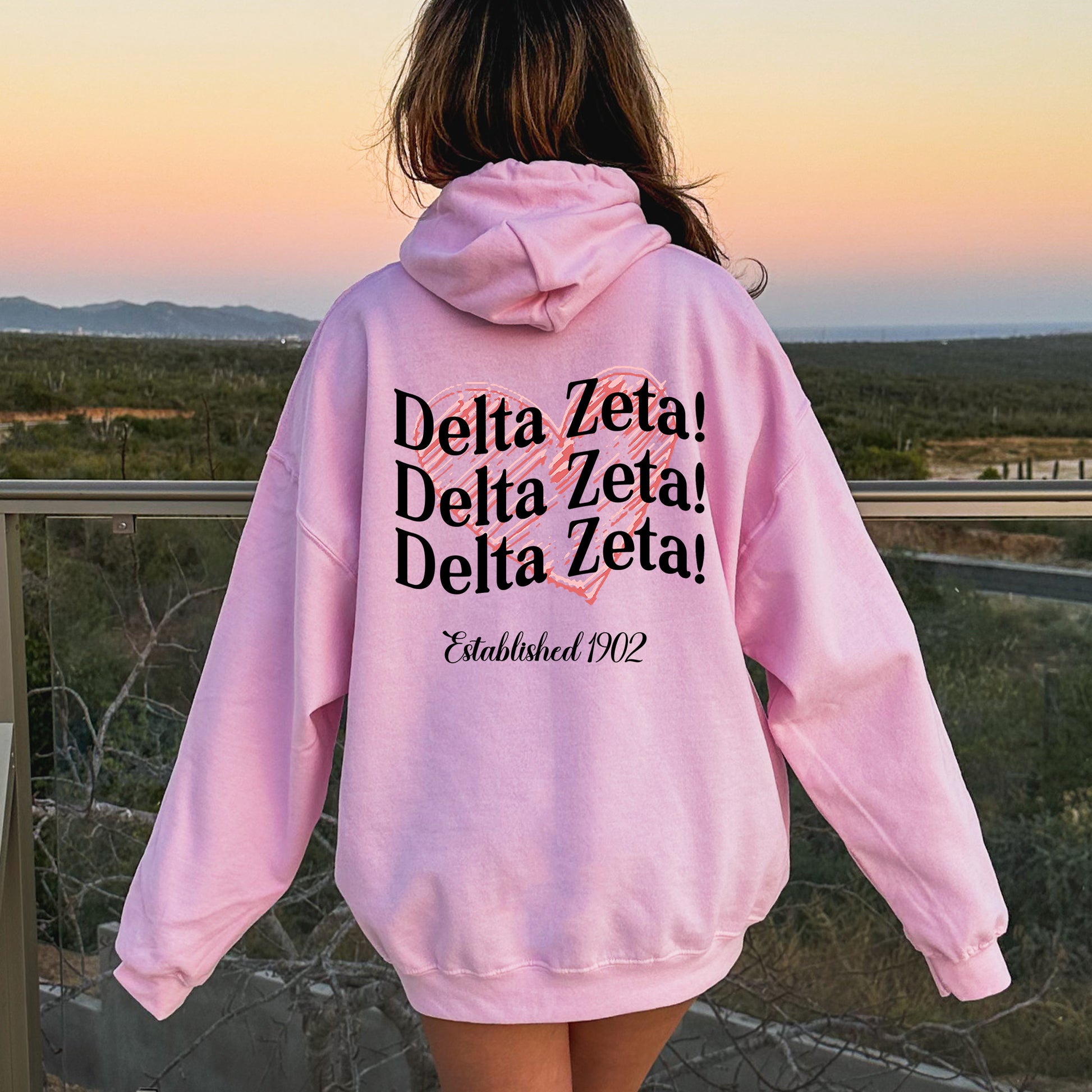 a girl in a pink hoodie looking out at the desert