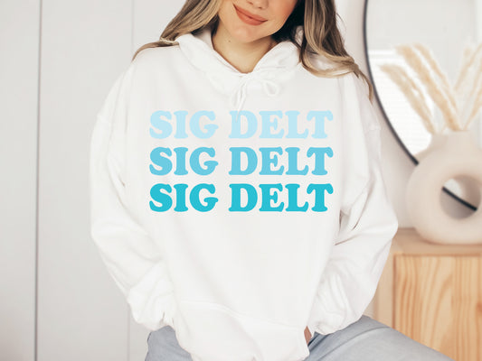 Sigma Delta Tau Touch of Blue Sorority Hoodie _ 2598g