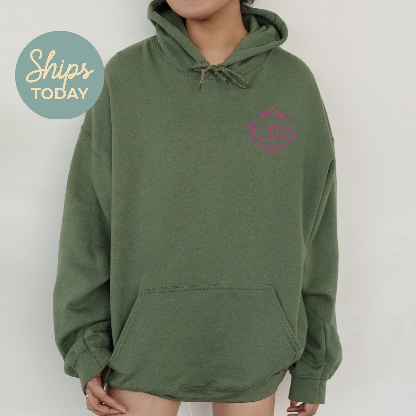 Delta Delta Delta Stamped Sorority Hoodie _ 39121g