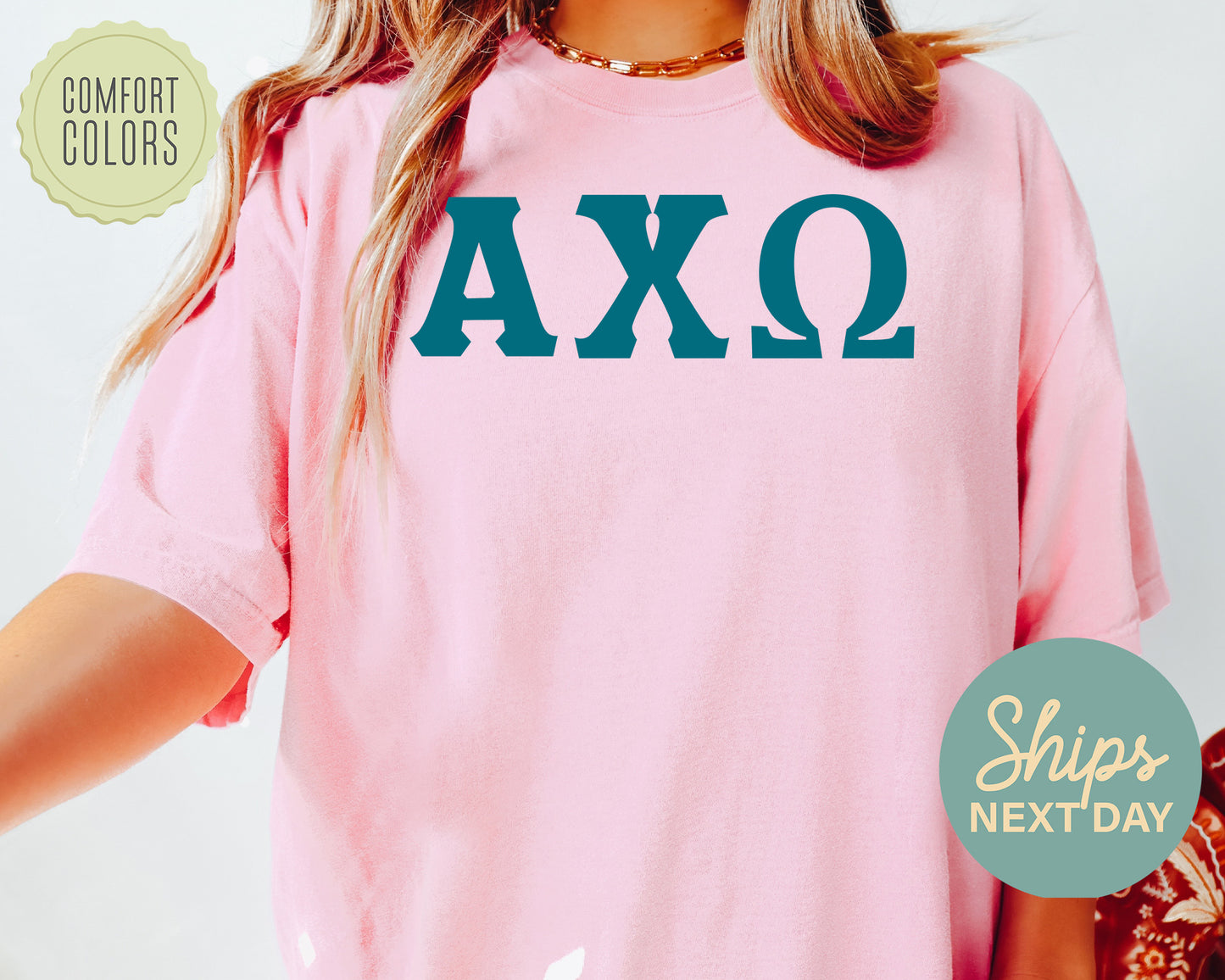 Alpha Chi Omega Back to the Basics Comfort Colors Sorority T-shirt _ 622g