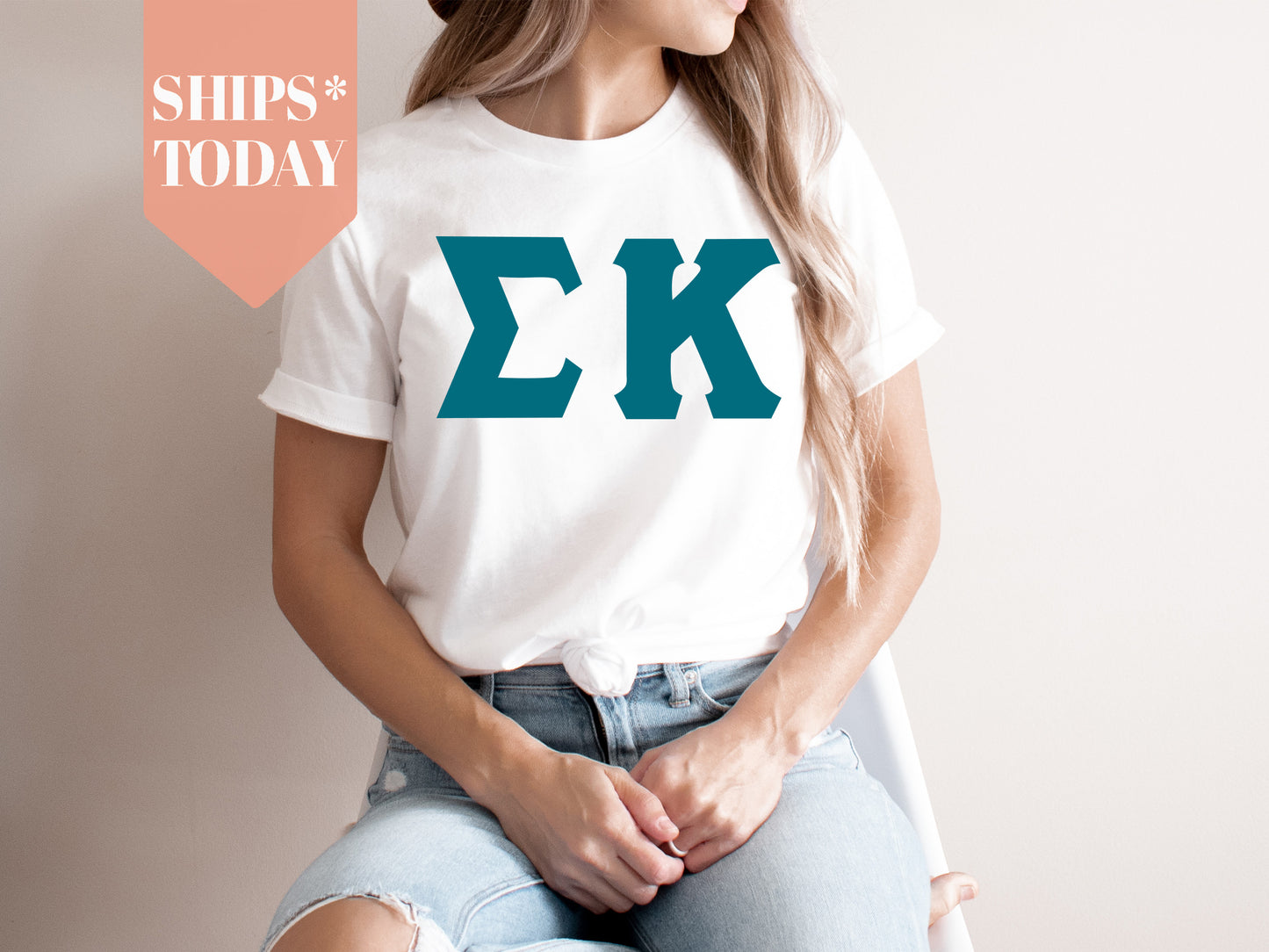 Sigma Kappa Back to the Basics Sorority T-shirt _ 644g