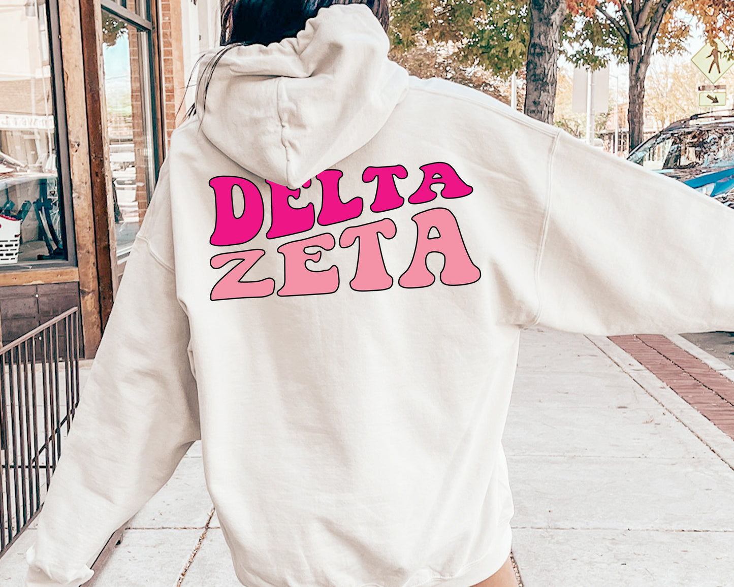 Delta Zeta Shades of Pink Sorority Hoodie _ 32985g