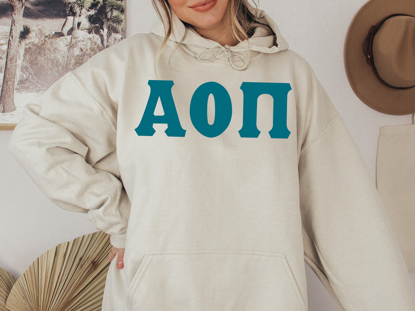 Alpha Omicron Pi Back to the Basics Sorority Hoodie _ 626g