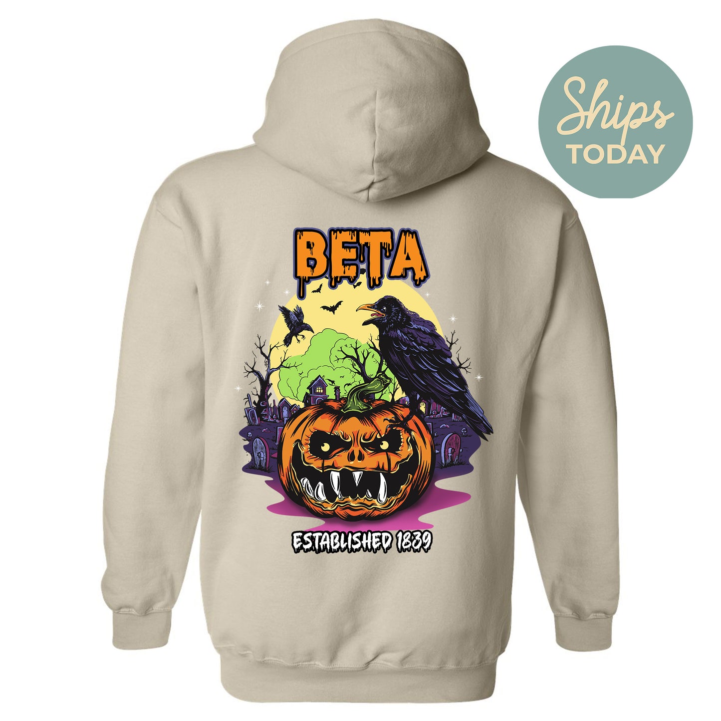 Beta Theta Pi Halloween Bats Fraternity Hoodie _ 36256g