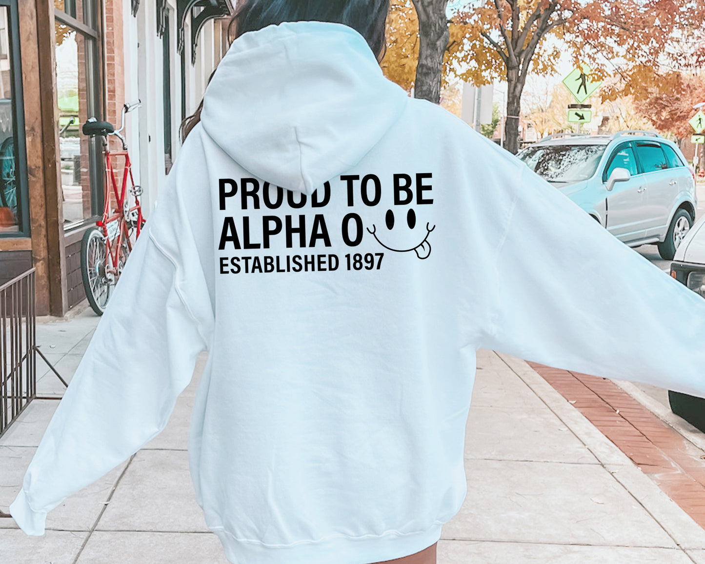 Alpha Omicron Pi Proud to Be Sorority Hoodie _ 33132g