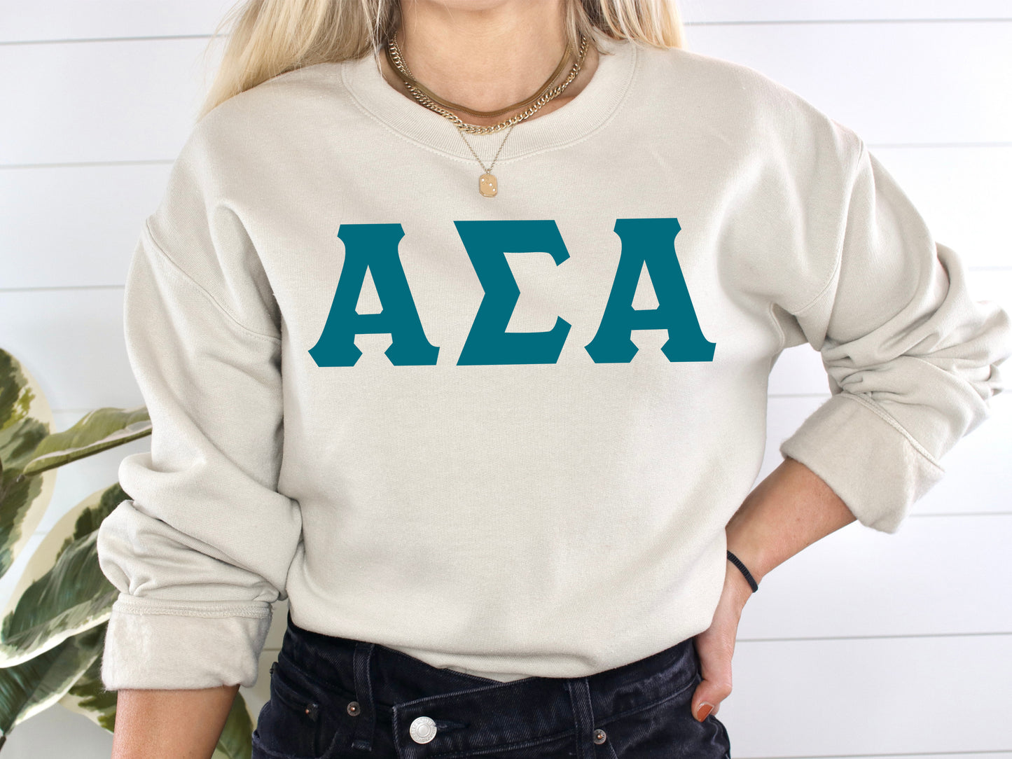 Alpha Sigma Alpha Back to the Basics Sorority Sweatshirt _ 628g