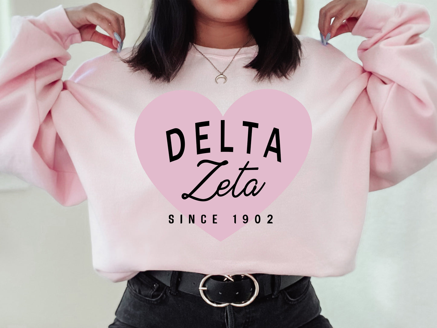 Delta Zeta Pretty in Pink Sorority Sweatshirt _ 453g