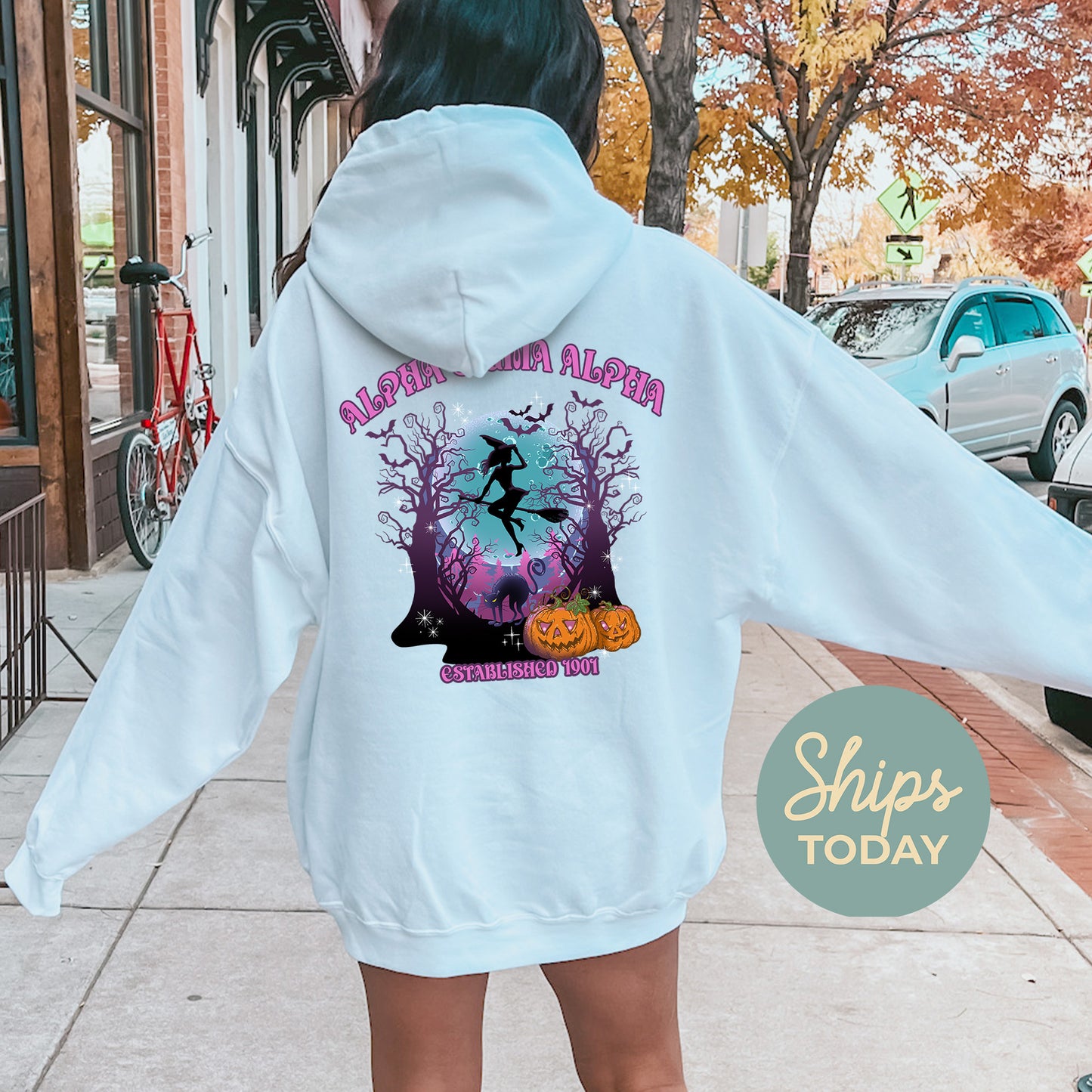 Alpha Sigma Alpha Halloween Witch Sorority Hoodie _ 36232g