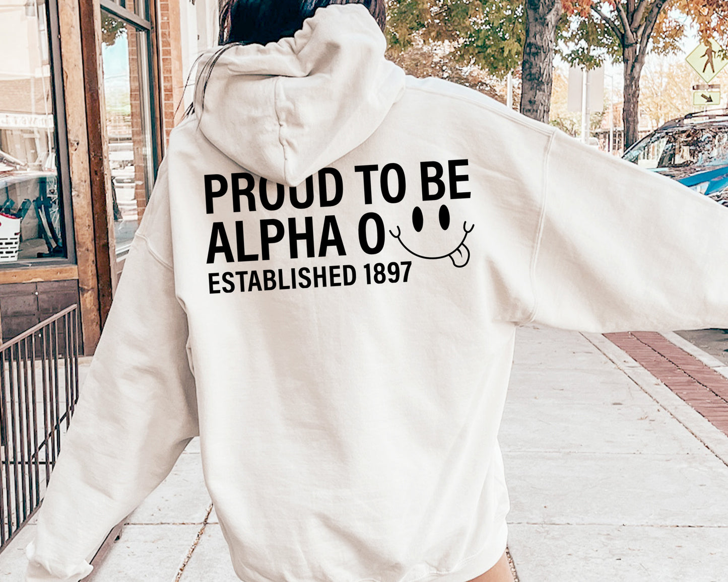 Alpha Omicron Pi Proud to Be Sorority Hoodie _ 33132g