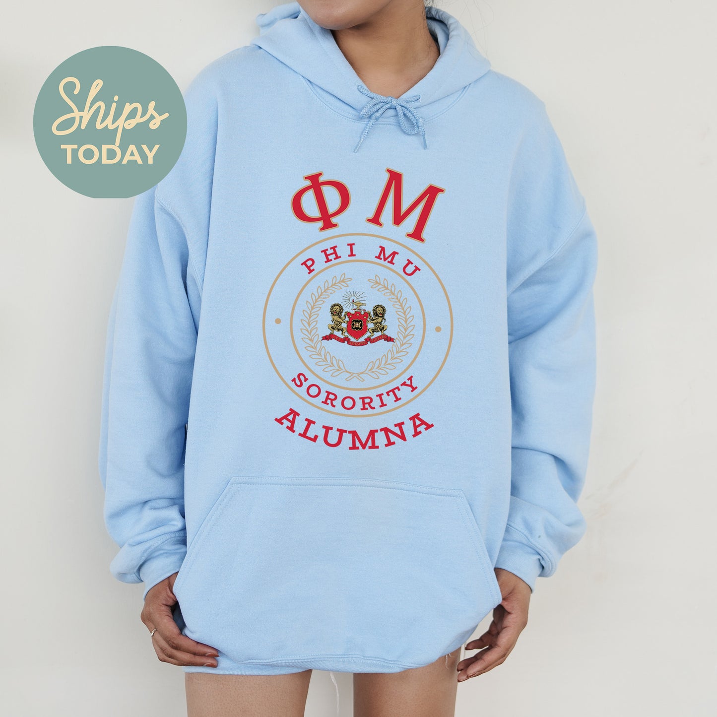 Phi Mu Alumna Vintage Sorority Hoodie _ 31027g