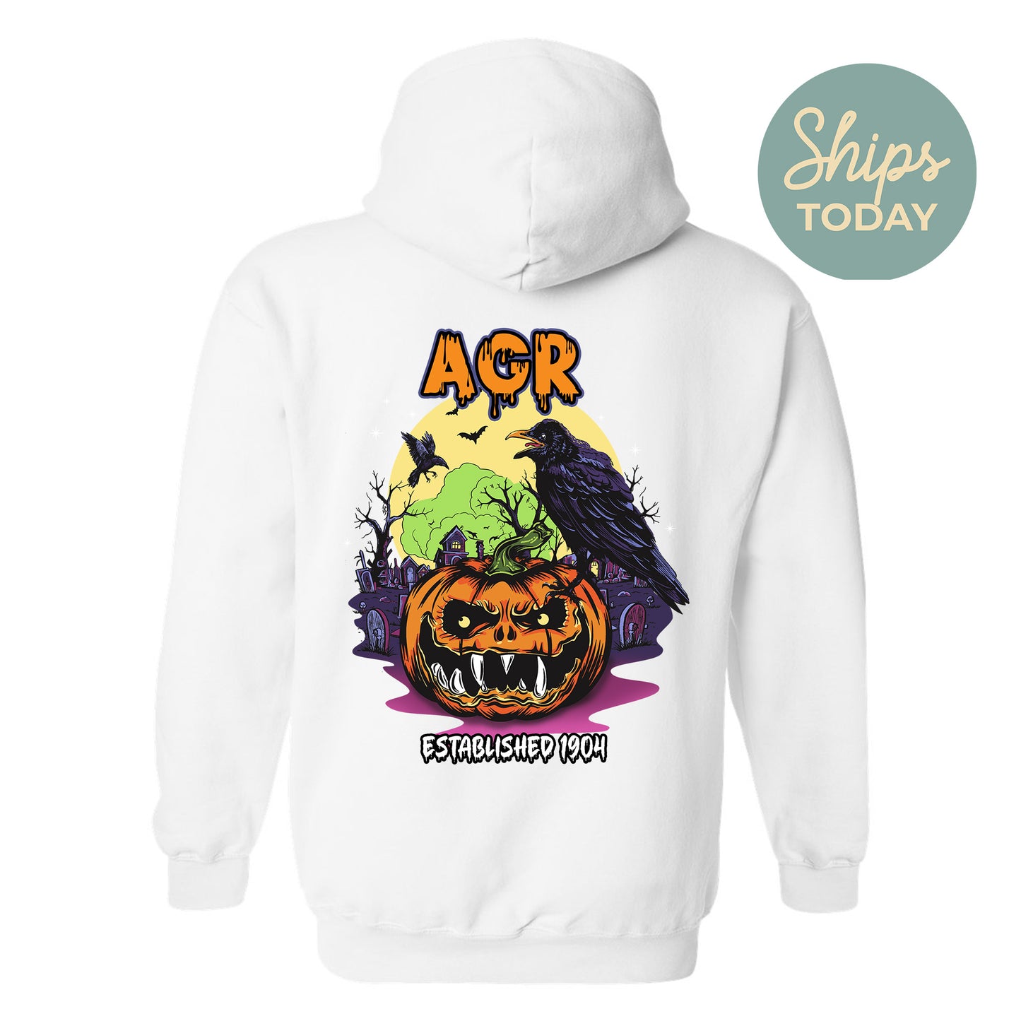 Alpha Gamma Rho Halloween Bats Fraternity Hoodie _ 36253g