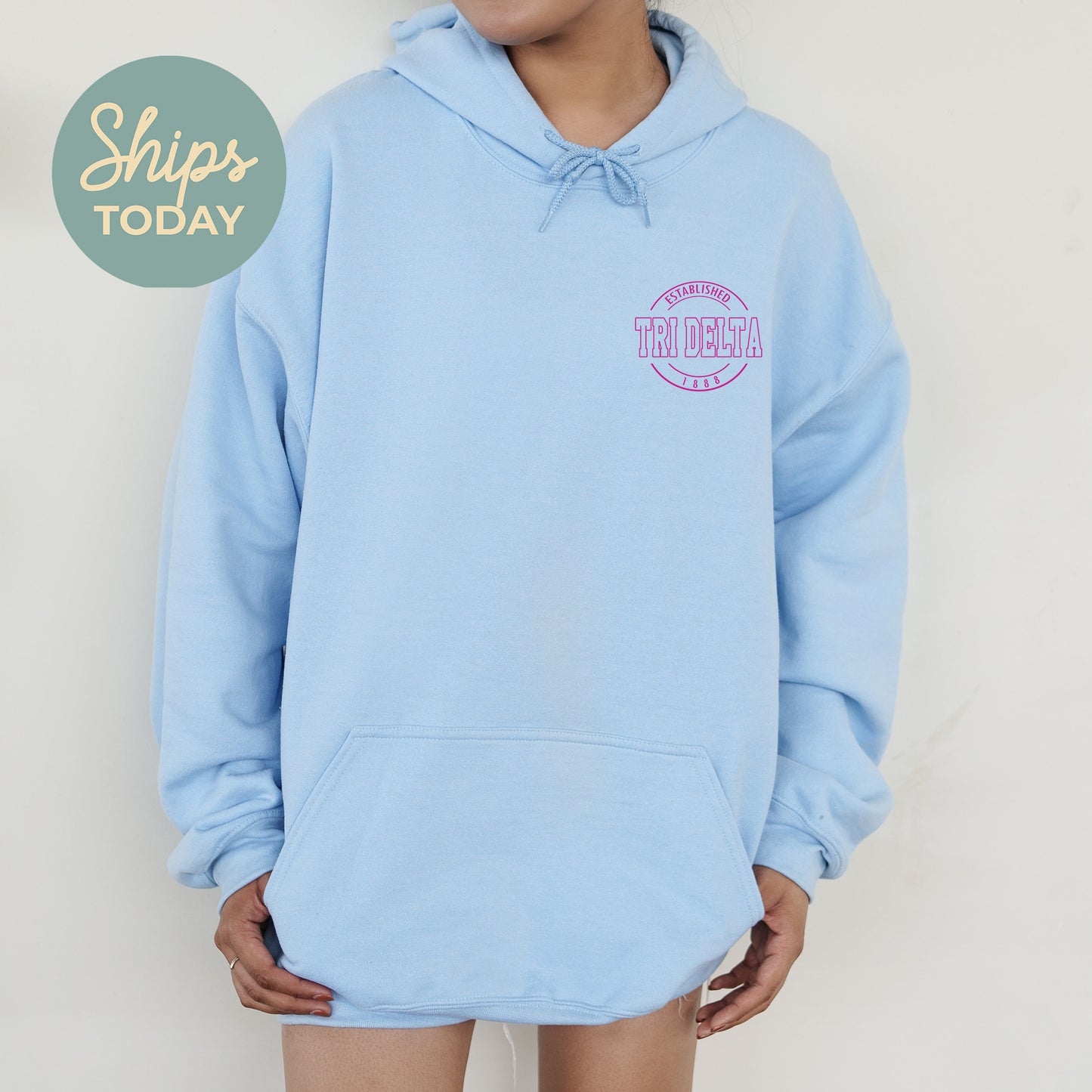 Delta Delta Delta Stamped Sorority Hoodie _ 39121g