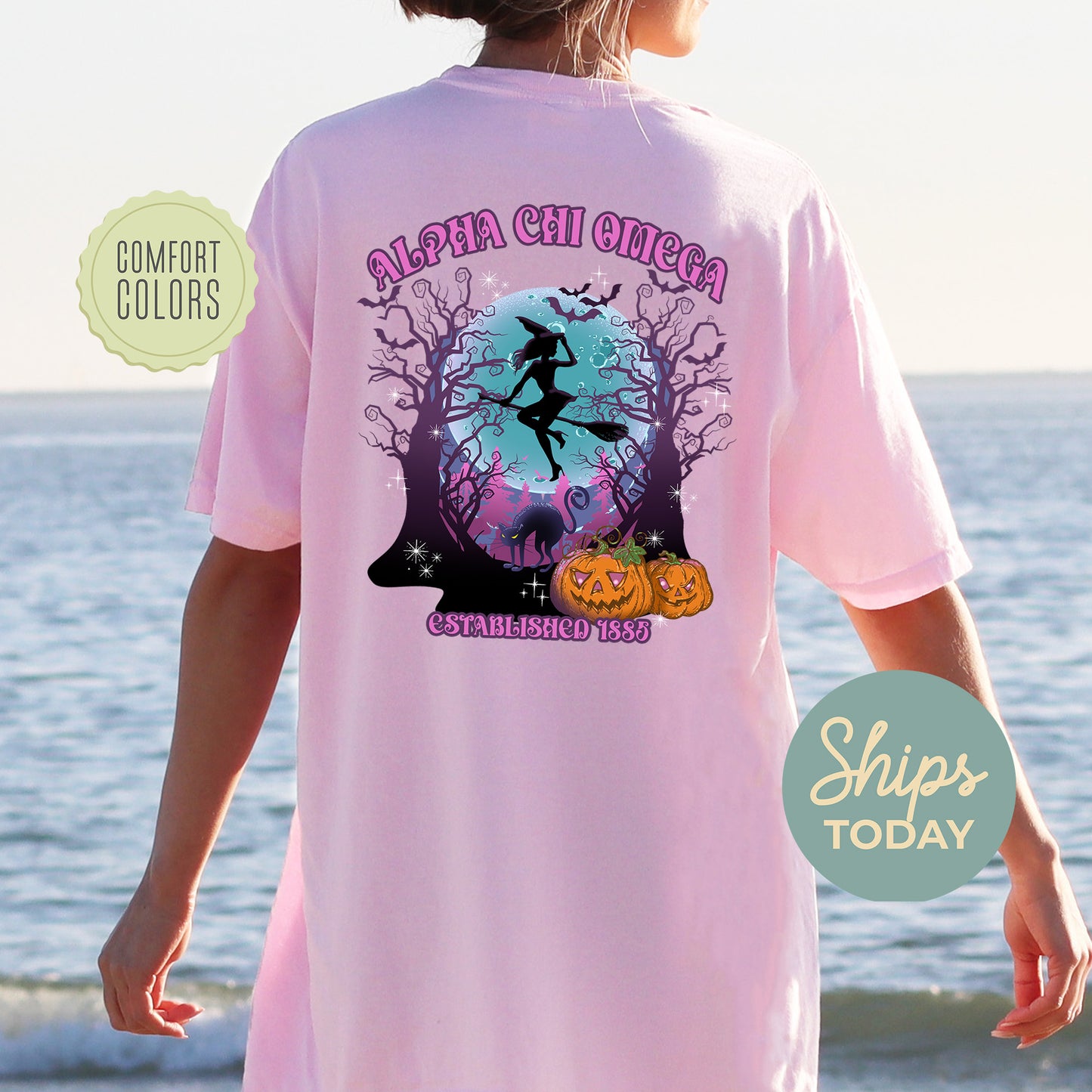 Alpha Chi Omega Halloween Witch Comfort Colors Sorority T-shirt _ 36226g
