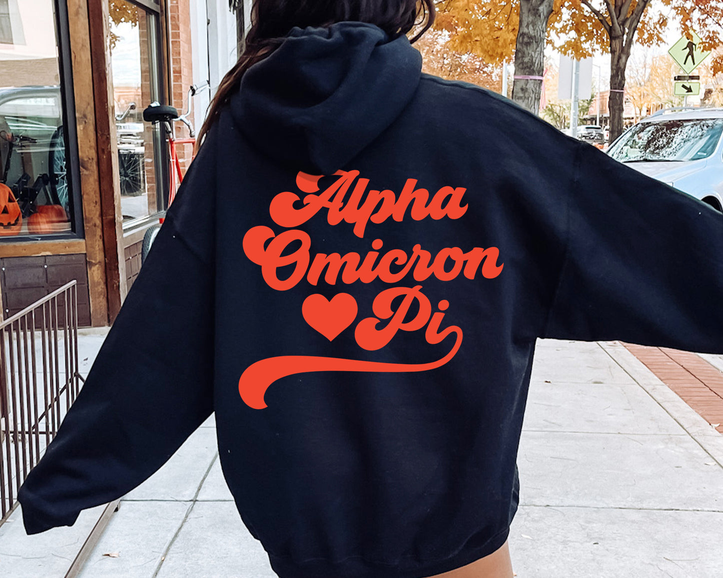 Alpha Omicron Pi Red Heart Sorority Hoodie _ 33350g