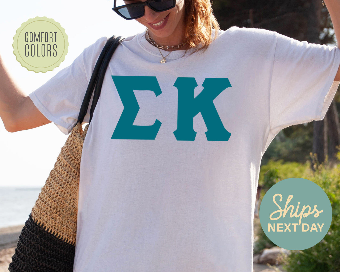 Sigma Kappa Back to the Basics Comfort Colors Sorority T-shirt _ 644g