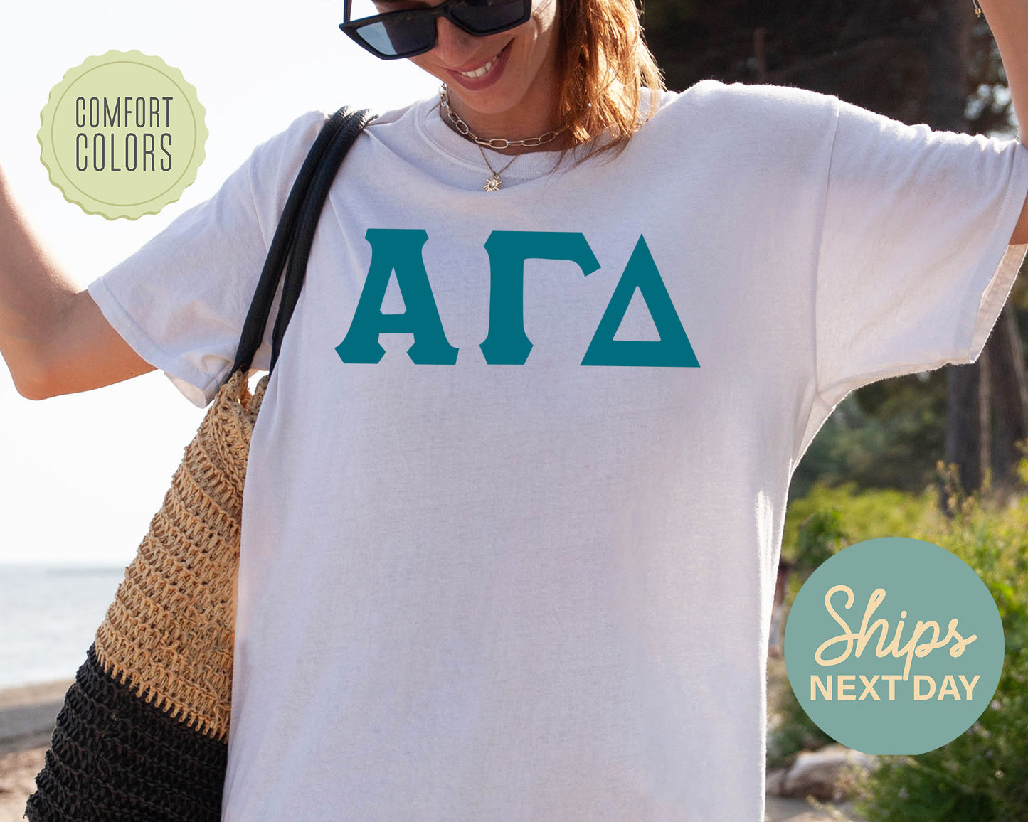 Alpha Gamma Delta Back to the Basics Comfort Colors Sorority T-shirt _ 625g