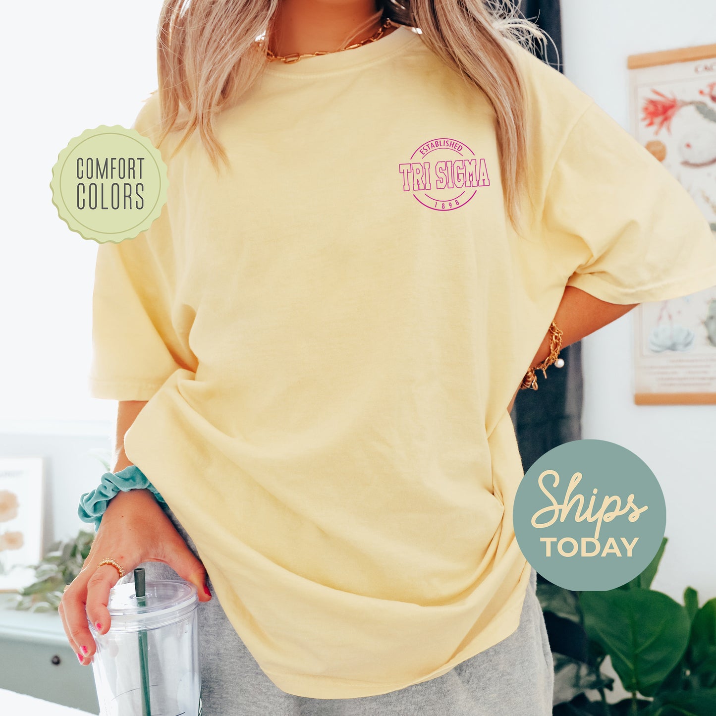 Sigma Sigma Sigma Stamped Comfort Colors Sorority T-shirt _ 39135g