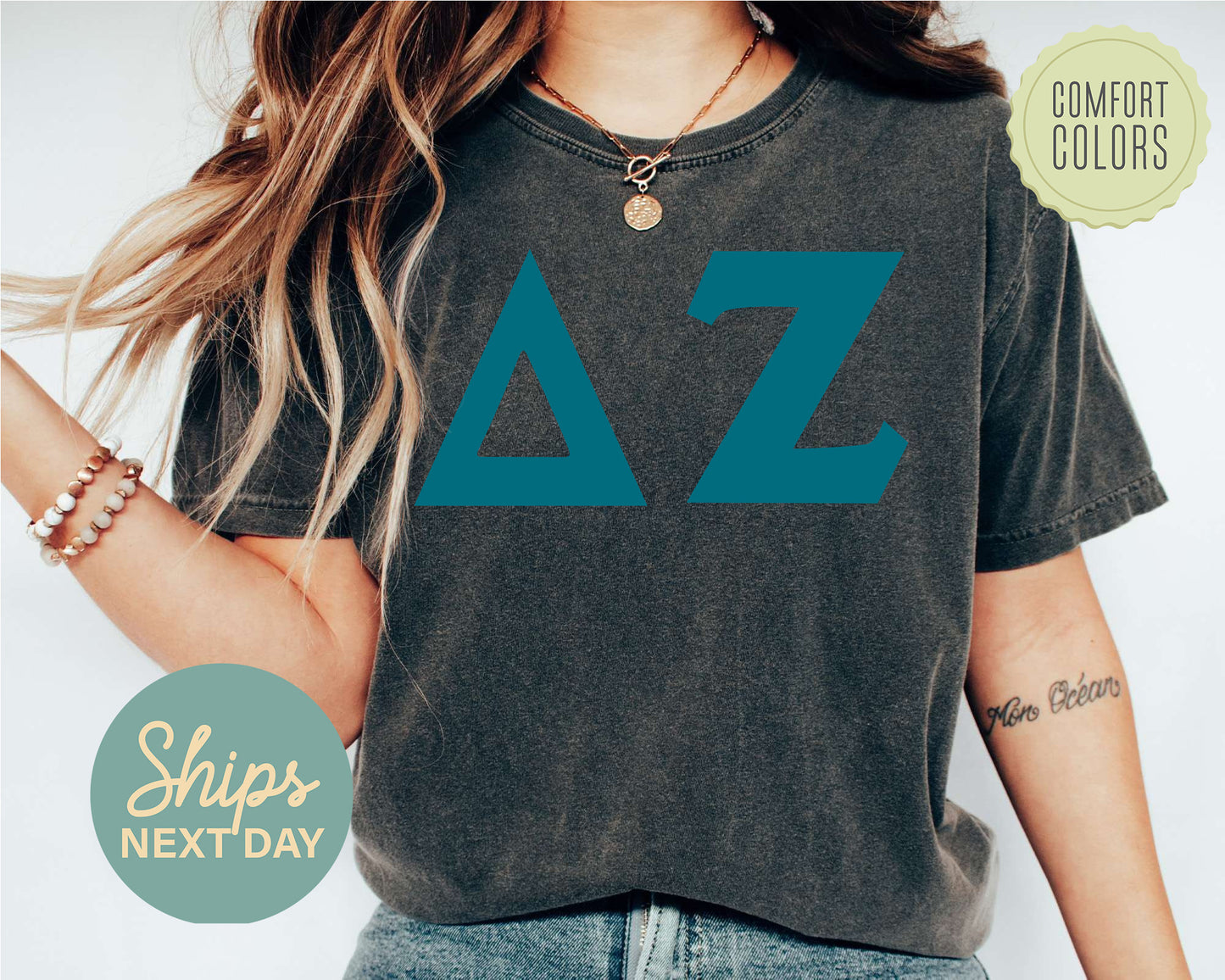 Delta Zeta Back to the Basics Comfort Colors Sorority T-shirt _ 635g