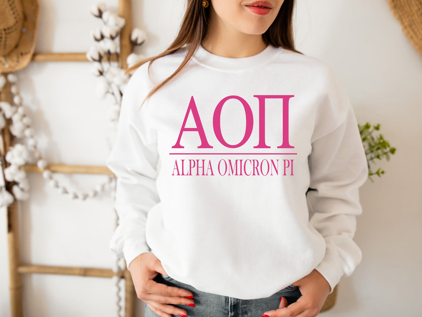 Alpha Omicron Pi Loud Letters Sorority Sweatshirt _ 470g
