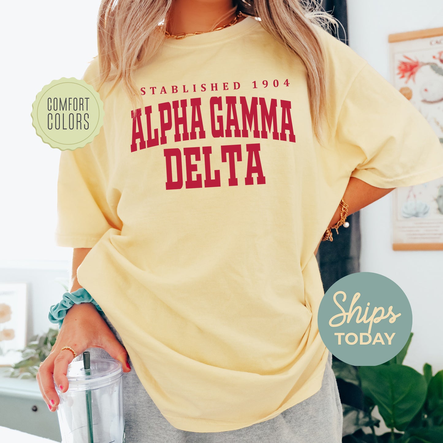 Alpha Gamma Delta Bold Letters Comfort Colors Sorority T-shirt _ 35123g