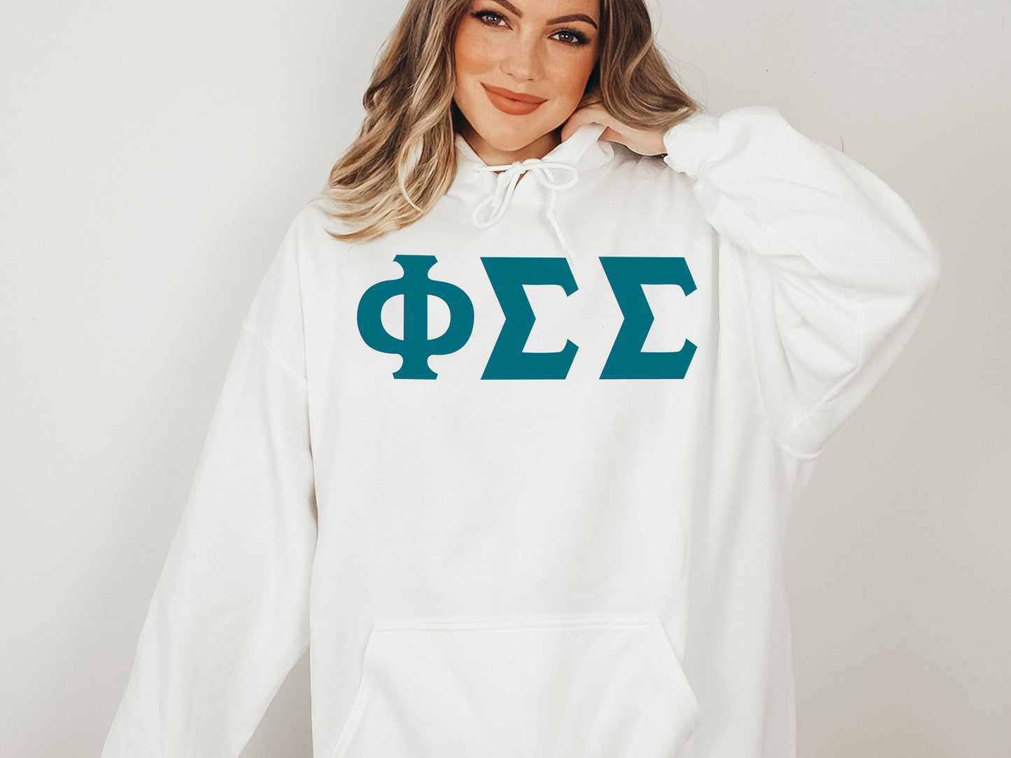 Phi Sigma Sigma Back to the Basics Sorority Hoodie _ 341g