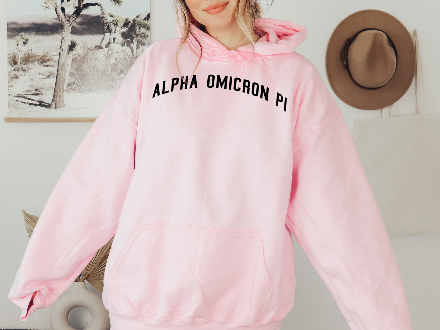Alpha Omicron Pi Just Bold Sorority Hoodie _ 2373g