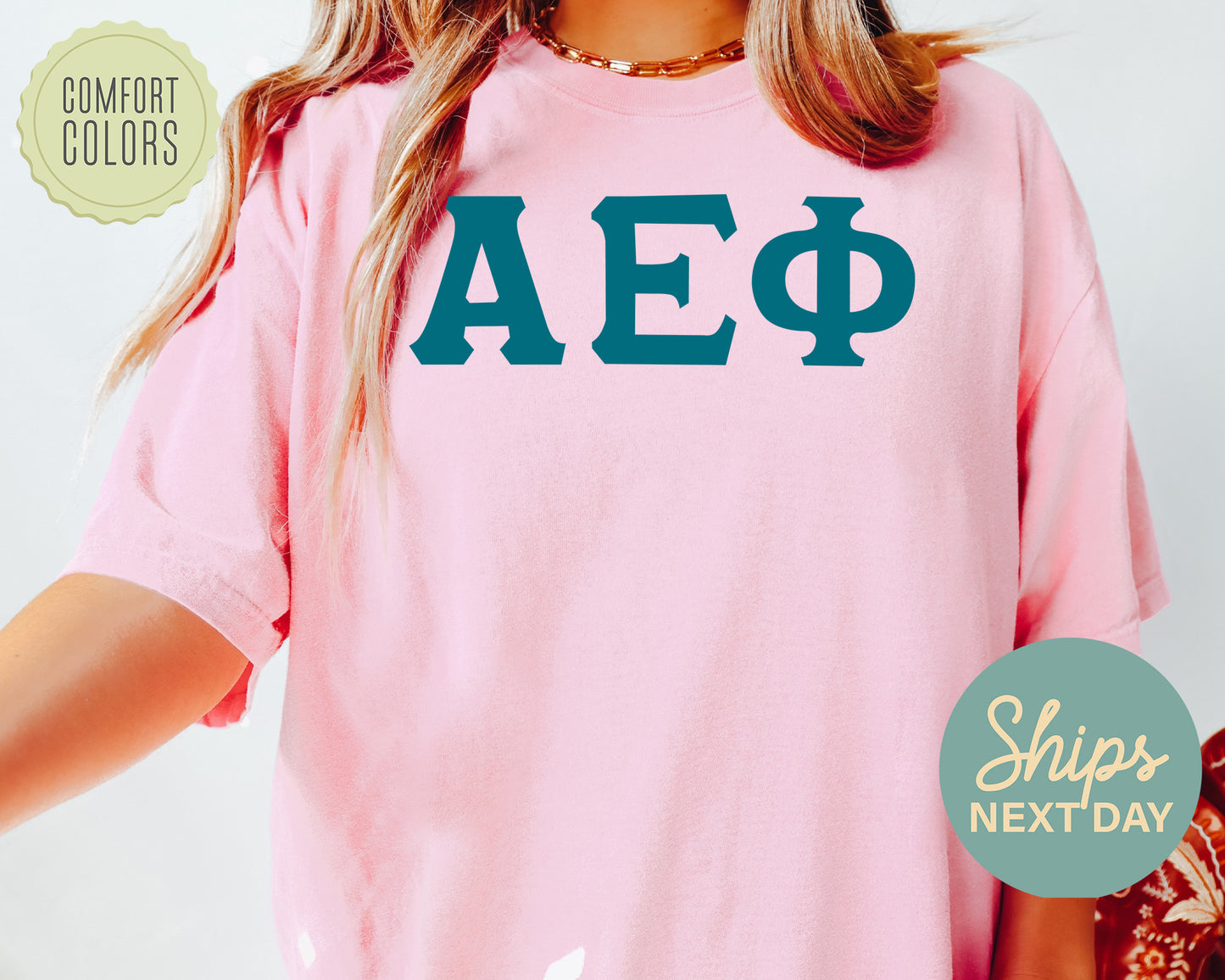 Alpha Epsilon Phi Back to the Basics Comfort Colors Sorority T-shirt _ 624g