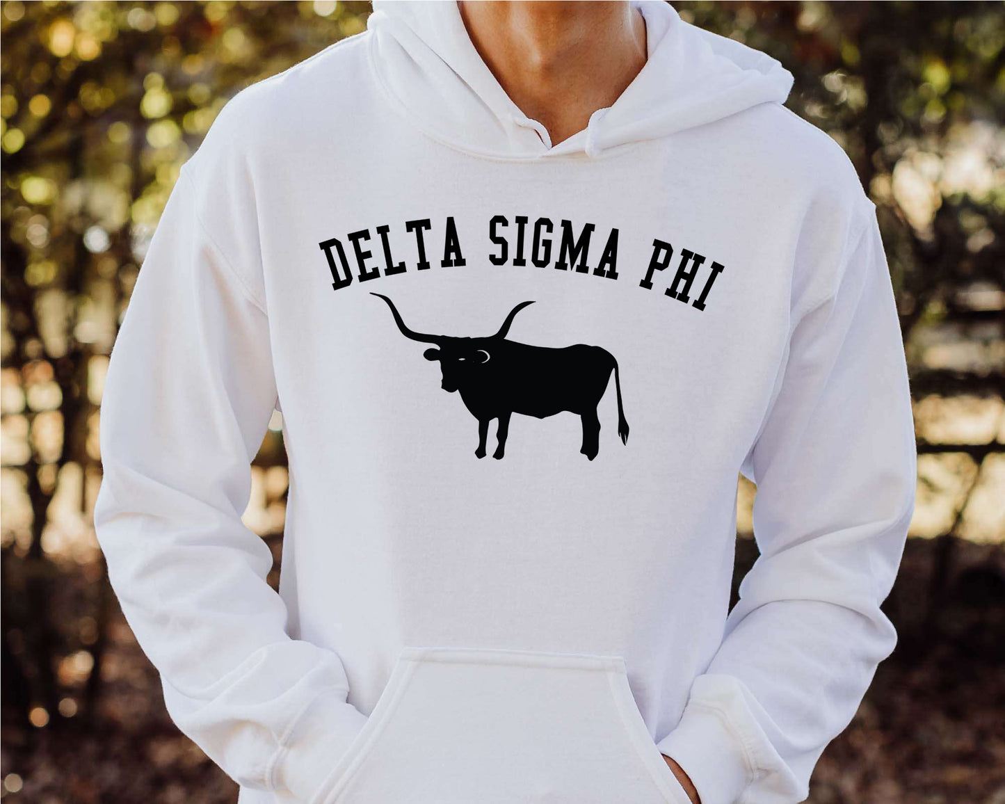 Delta Sigma Phi Long Horn Fraternity Hoodie _ 1531g