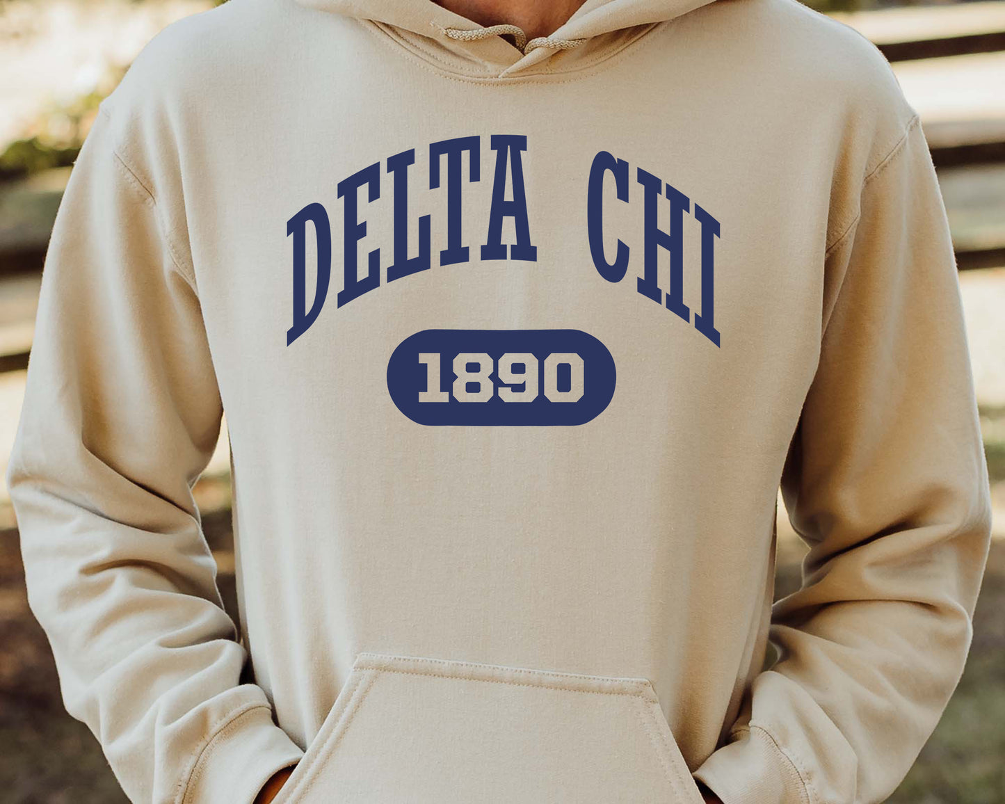 Delta Chi Fraternal Arch Fraternity Hoodie _ 914g