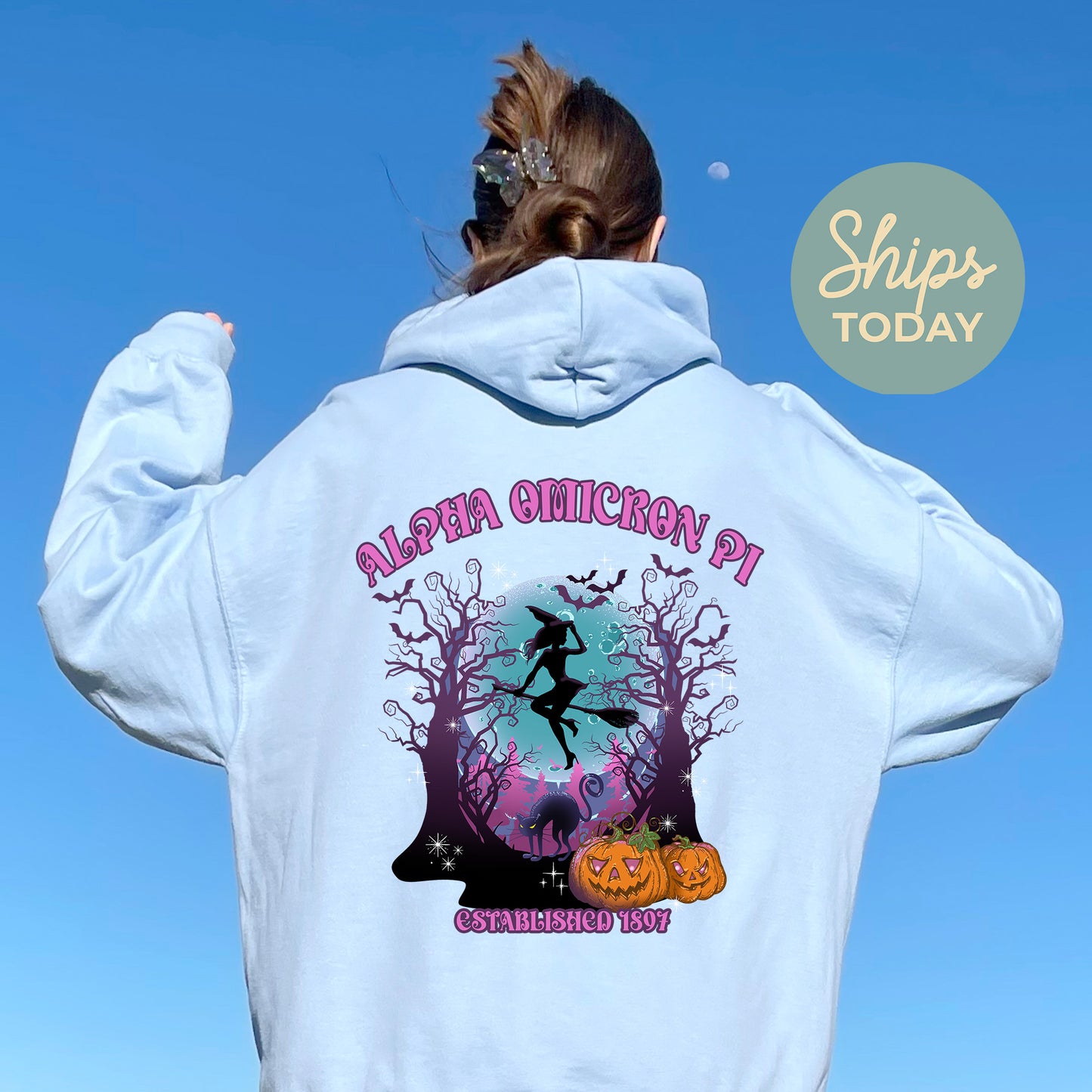 Alpha Omicron Pi Halloween Witch Sorority Hoodie _ 36230g