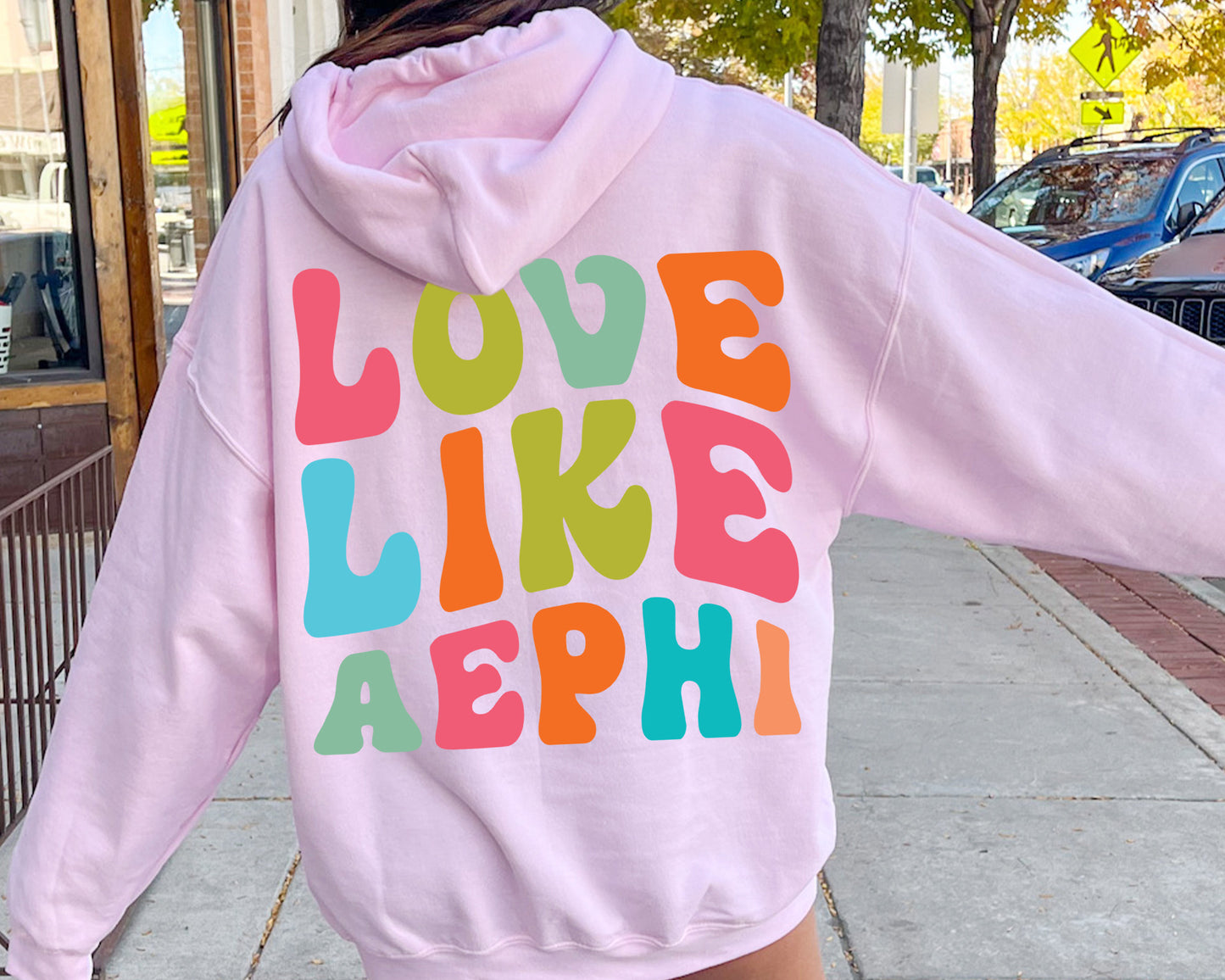 Alpha Epsilon Phi Blissful and Vibrant Sorority Hoodie _ 33156g