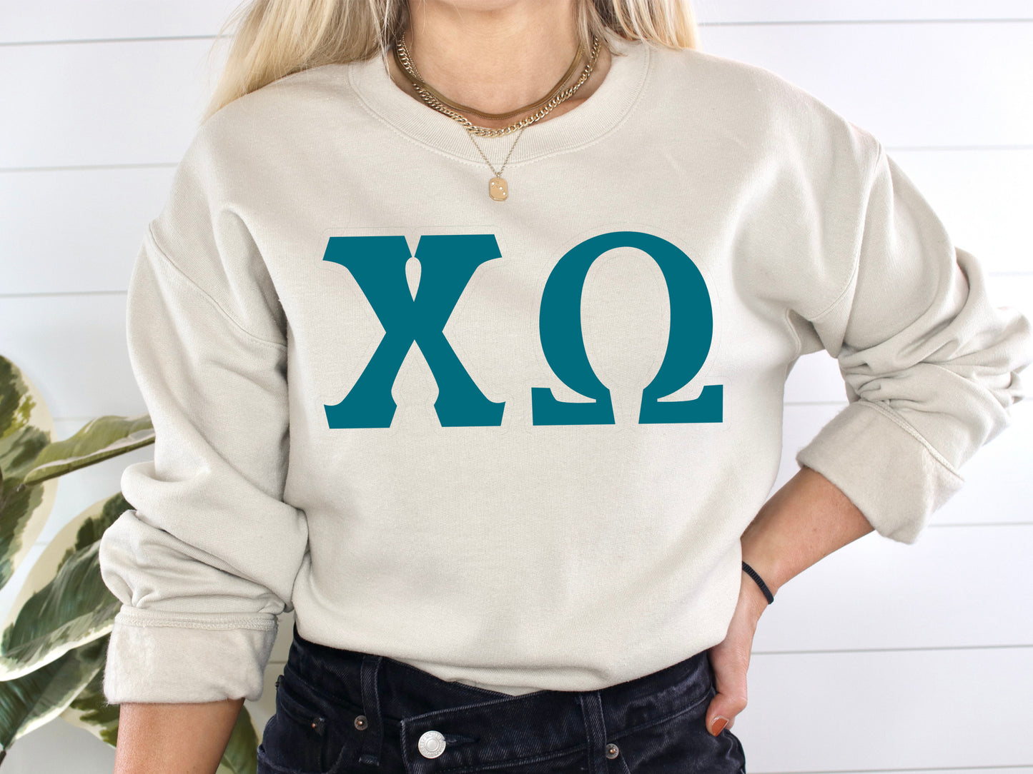 Chi Omega Back to the Basics Sorority Sweatshirt _ 631g