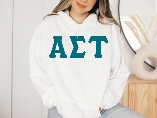 Alpha Sigma Tau Back to the Basics Sorority Hoodie _ 629g