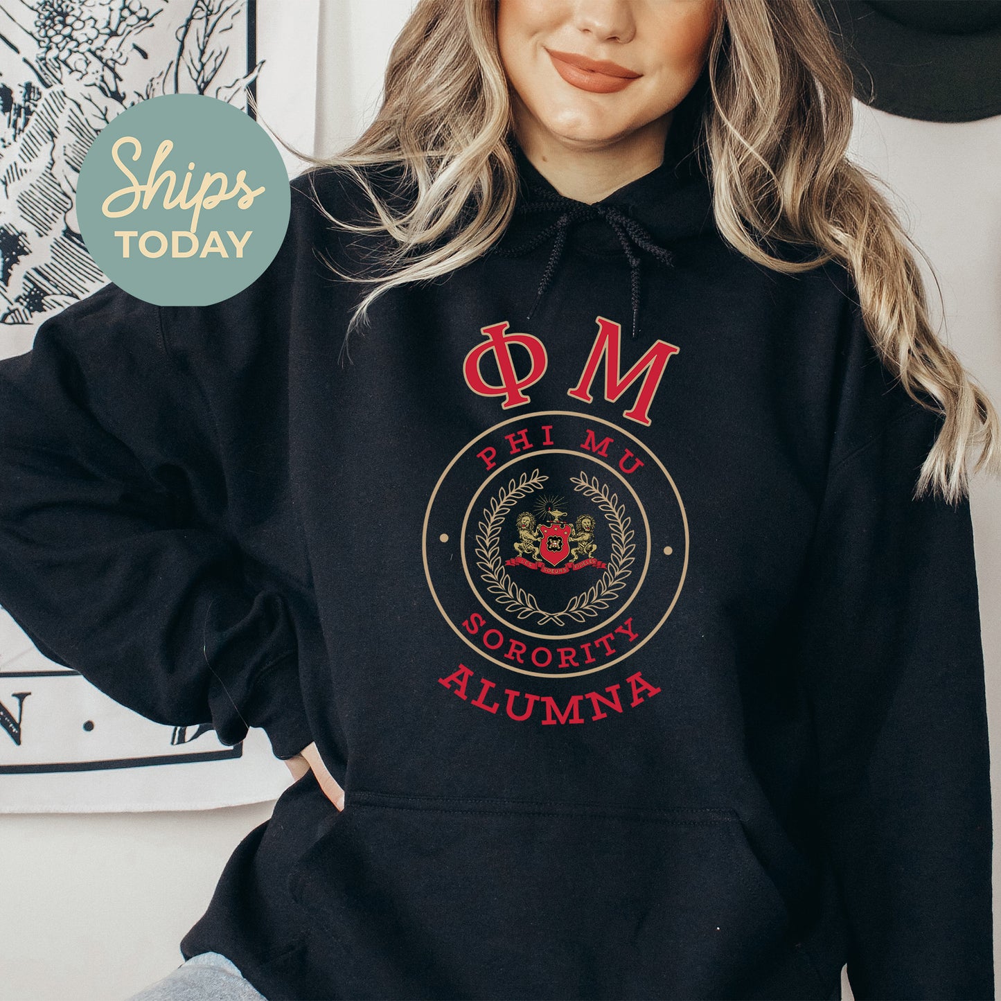 Phi Mu Alumna Vintage Sorority Hoodie _ 31027g