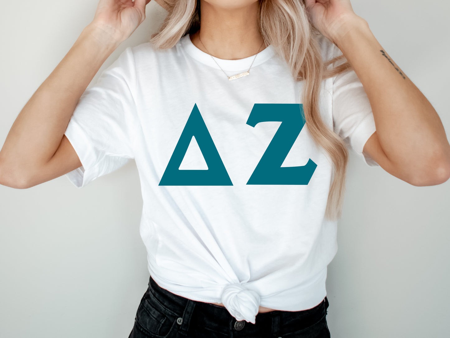 Delta Zeta Back to the Basics Sorority T-shirt _ 635g