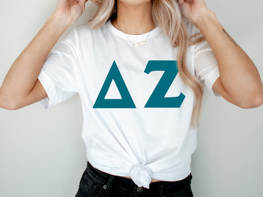 Delta Zeta Back to the Basics Sorority T-shirt _ 635g