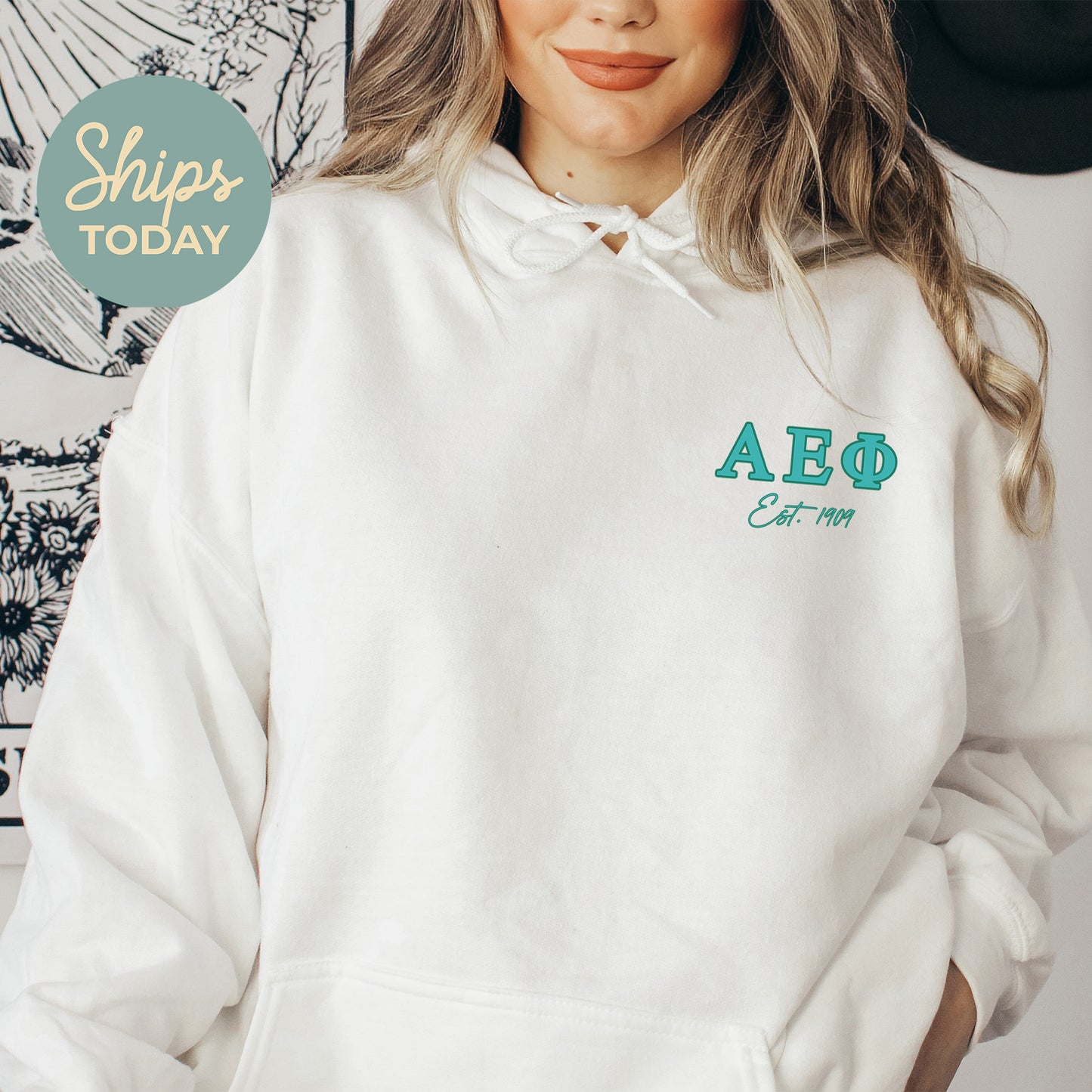 Alpha Epsilon Phi Letter Cuts Sorority Hoodie _ 35889g